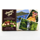 Chocolate covered macadamias nuts