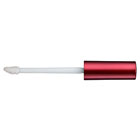 Lip Gloss 1
